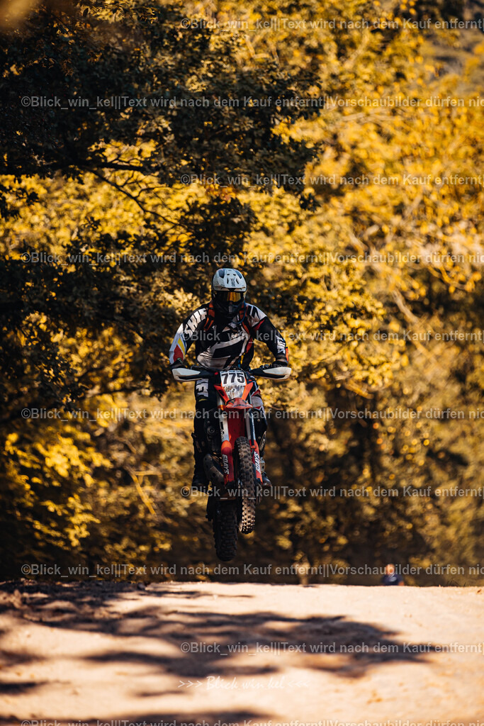 E68A7696 | blick_win_kel