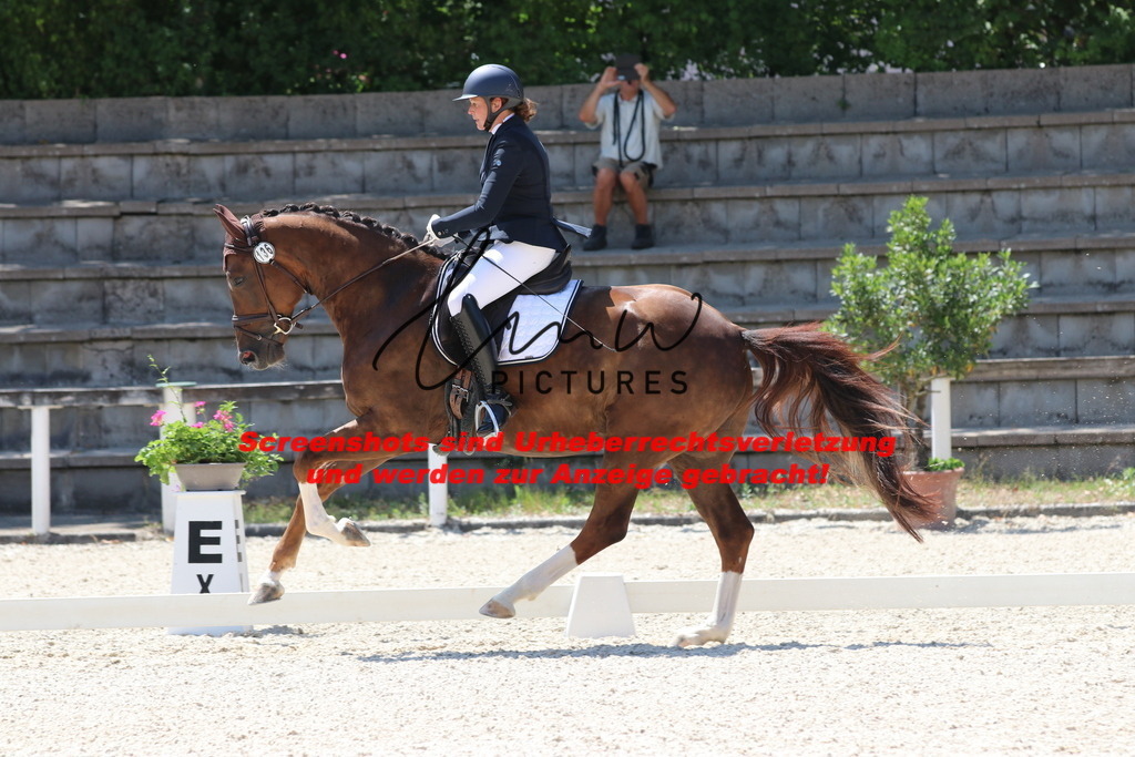 IMG_4954 | lmwpictures - Realisiert mit Pictrs.com