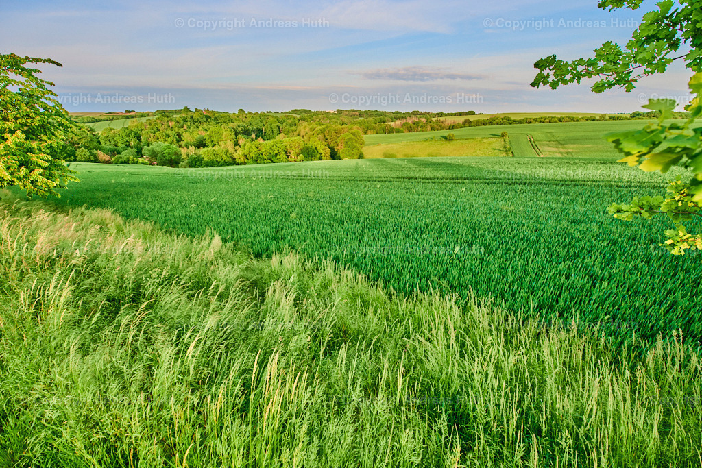 Blick in Richtung Tal der Kleinen Triebisch zwischen Kettewitz und Kobitzsch  02 | Bedeutsame Landschaften Deutschlands - Realisiert mit Pictrs.com