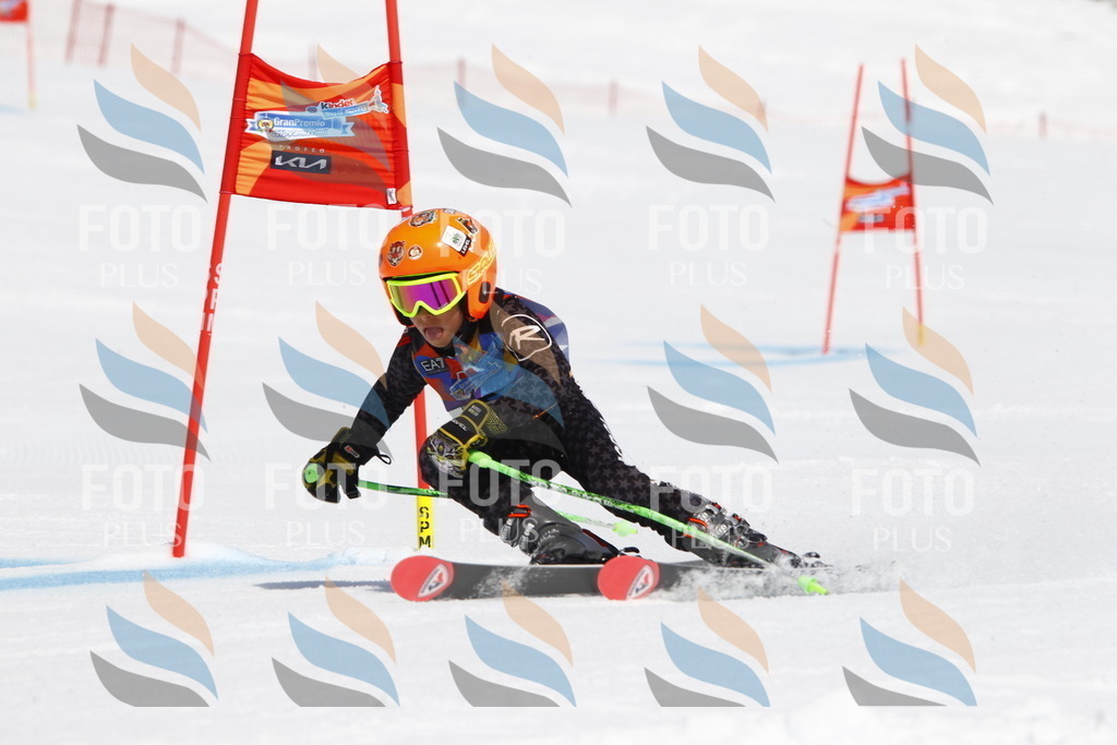 _U3G4442 | holidayphoto