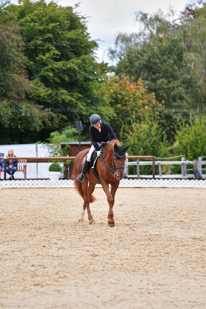 6-090-AMATUER-DRESSUR S_  -Marixx-3747 | working equitationturnier fotograf videograf stoibphotography marixx film working equitation deutschland reitsport turnierfotografie eventfotografie equestrian events