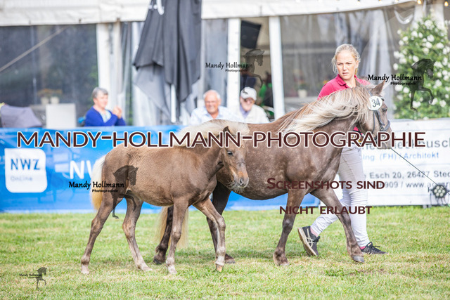 LTN 2024 (982) | mandyhollmannphotographie