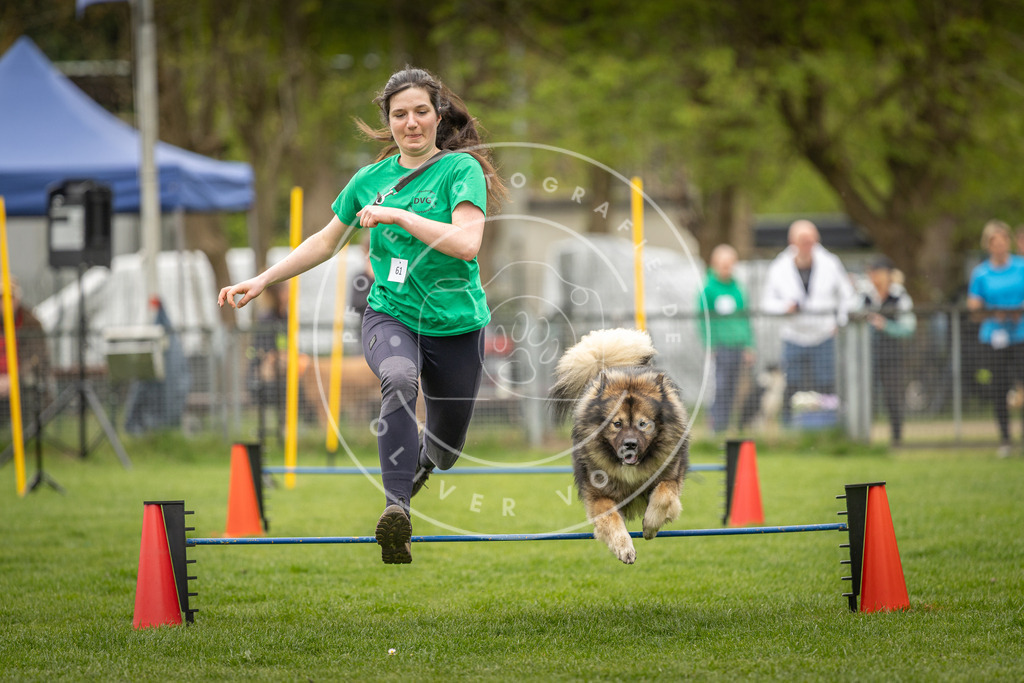 Pfotenfotografie_DV3A2479 | Hundefotografie, Tierfotograf, Pfotenfotografie, Fotoshooting Hund, Hunde Portrait, Hundesport, Hundeportraits, Heideshooting, Hunde, Sportfotograf, Hundefotograf, Turnierhundsport, THS,  - Realisiert mit Pictrs.com