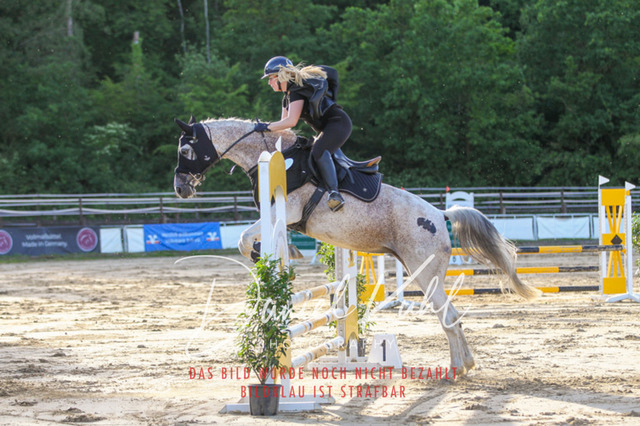 DKP45194 | Turnierfotos kaufen im Webshop von Daniel Kuhl Photography – entdecke professionelle Reitsportfotos aus Turnieren & Events. Hochwertige Turnierbilder online bestellen & sichern. Jetzt Fotos von Reitsportturnieren kaufen!