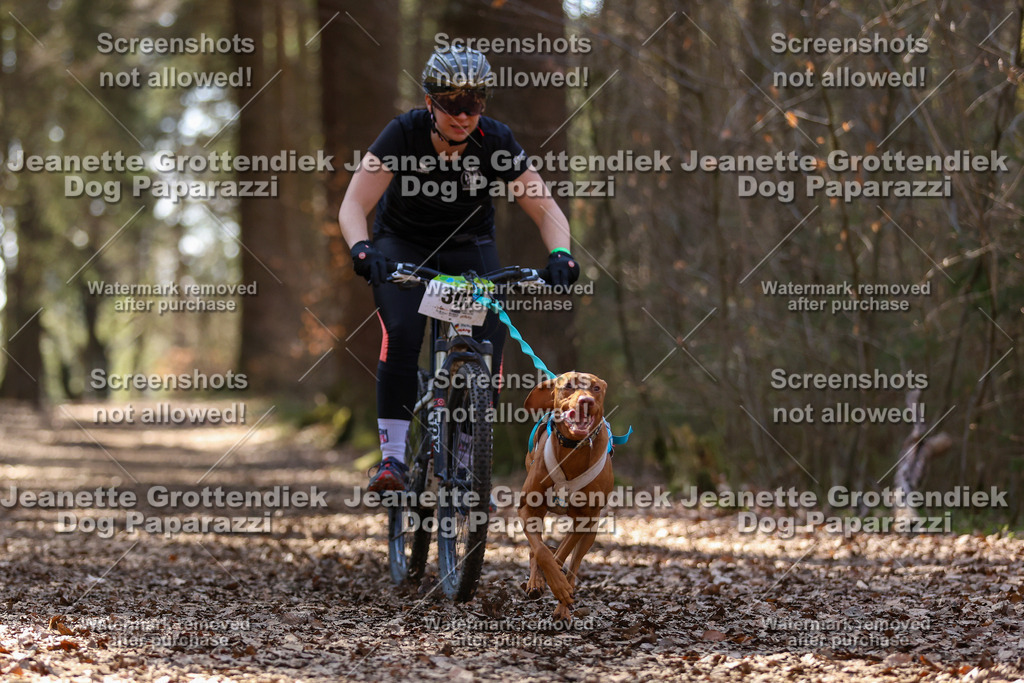 Dog Paparazzi - VCC26-1398 | Dog Paparazzi Jeanette Grottendiek Fotografie & Videografie - Realisiert mit Pictrs.com