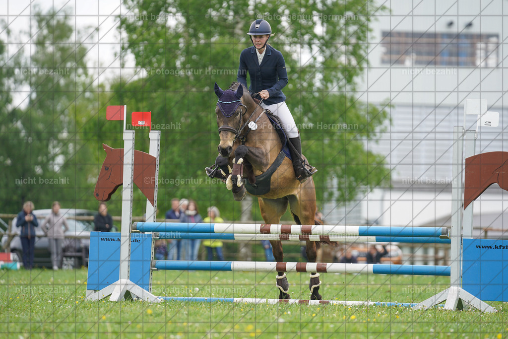 20240509-FAH02615 | Turnierbilder der Turnierfotografen Bayern, Pferdesport Fotografie, Reitsportbilder, Turnier Landberg am Lech, Turnierbilder bayern, Fotoagentur Herrmann