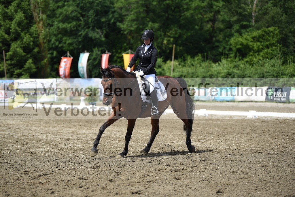 DSC_0517 | equestrian-live-com