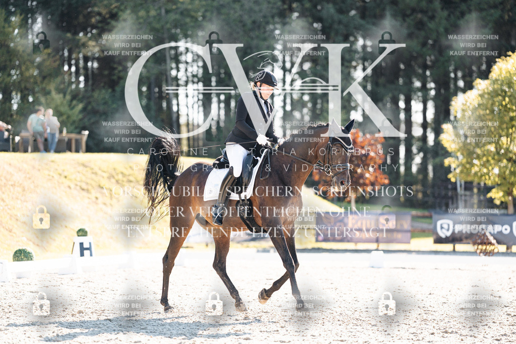 CK906388 | Turnierfotografie Pferdefotografie Trier Rheinland-Pfalz Pferdesport Reitsport Tierfotografie Sportfotografie Pferdevideo Pferdevideografie Equestrianvideography equestrianphotography  - Realisiert mit Pictrs.com