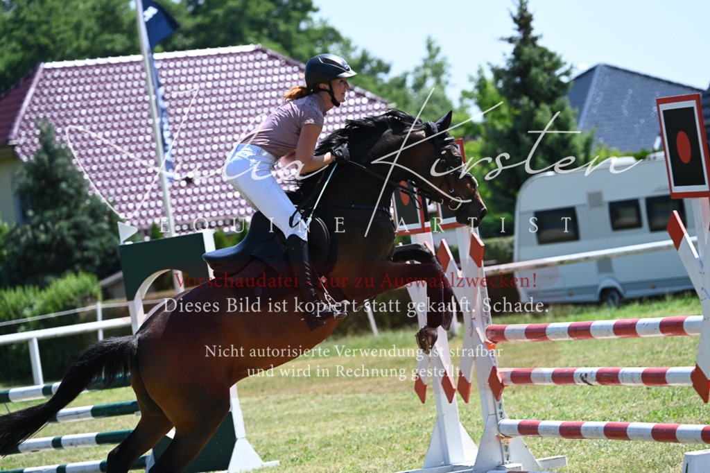 DSC_0774 | Pferde- und Turnierfotografie in Westsachsen. Pferdeportraits, Auftragszeichnungen und intuitive Kunst.