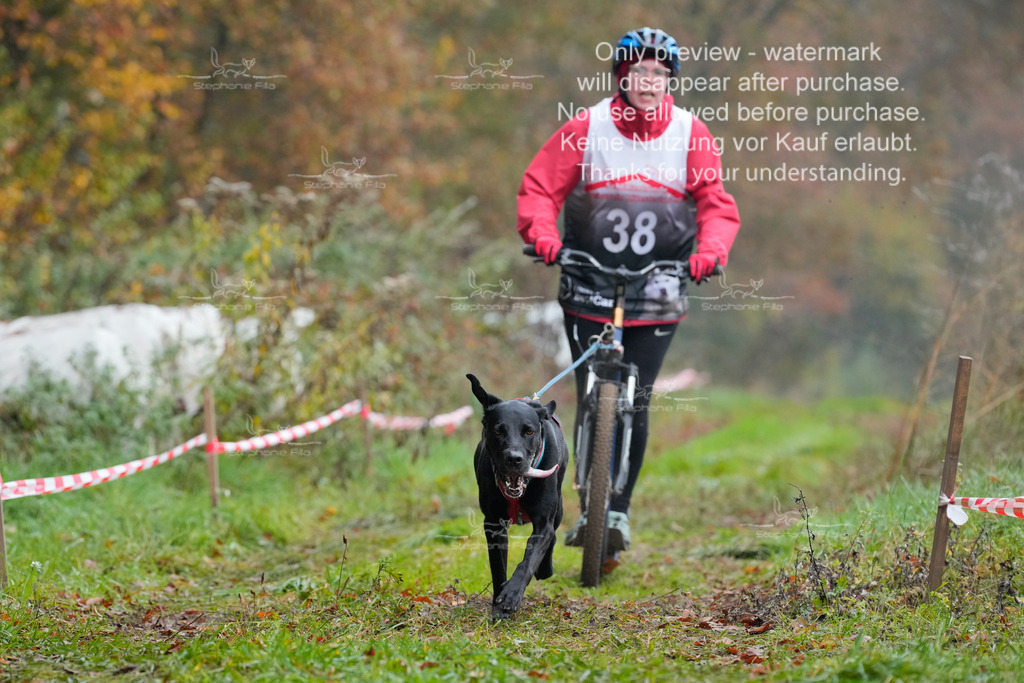 Visbeck_Sa_Scooter_Hcx-3 | stephaniefillaphotographie - Realisiert mit Pictrs.com