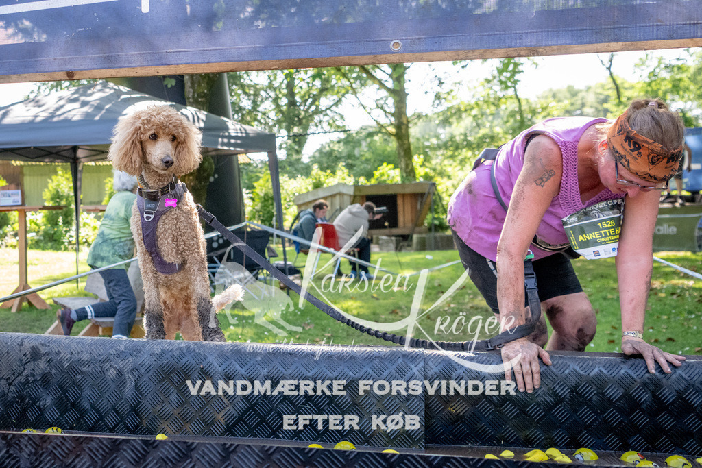 1521_ZZ90884 | kk-dogfotos