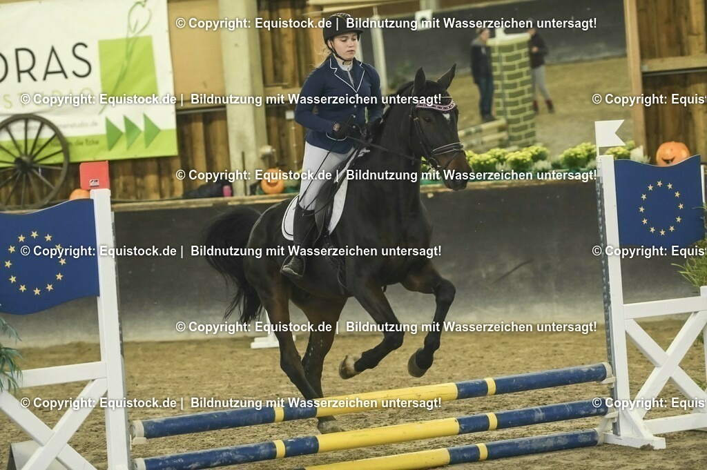 20231029_07_Stilspring-WB-50cm_0085 | Foto: Thomas Hartig