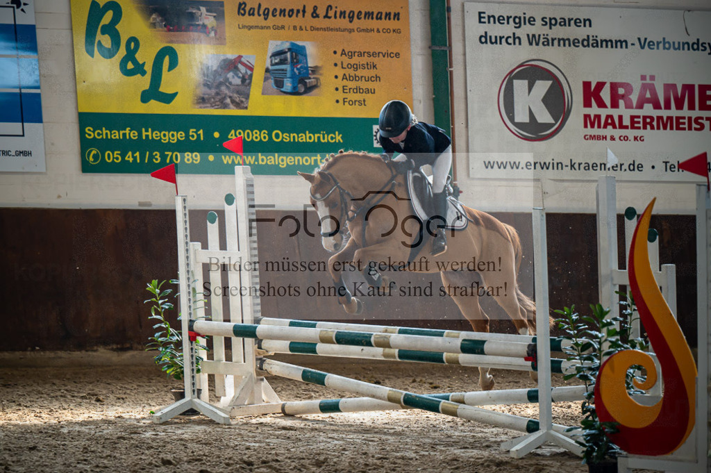 Hallenreittunier Voxtrup 2023 | Entdecke hochwertige Reitturnierfotos von Foto Oger. Professionell, emotional und authentisch – jetzt Lieblingsmomente im Shop bestellen.Deutschlandweite Turnierfotografie. - Realisiert mit Pictrs.com
