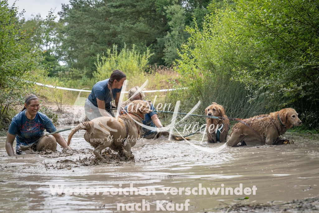 1455_ZZ94327 | kk-dogfotos