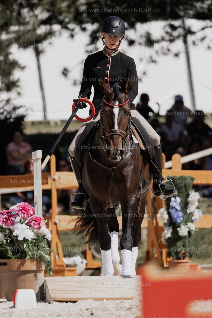 WE_Stoib_ST_330_PI2025-2 | working equitationturnier fotograf videograf stoibphotography marixx film working equitation deutschland reitsport turnierfotografie eventfotografie equestrian events