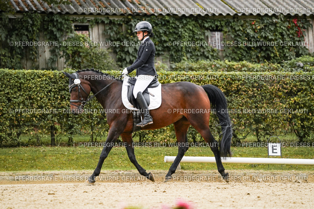 DSC06999 | Pferdegrafie