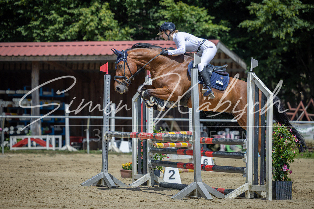 20260704-_3LI9767 | Tierfotografie Pferde, Hunde, Katzen, Haustiere.
Turnierfotografie Reitturniere, Reiten, Springreiten, Dressur in Hanau, dem Main-Kinzig-Kreis und dem Rhein-Main- Gebiet um Frankfurt
