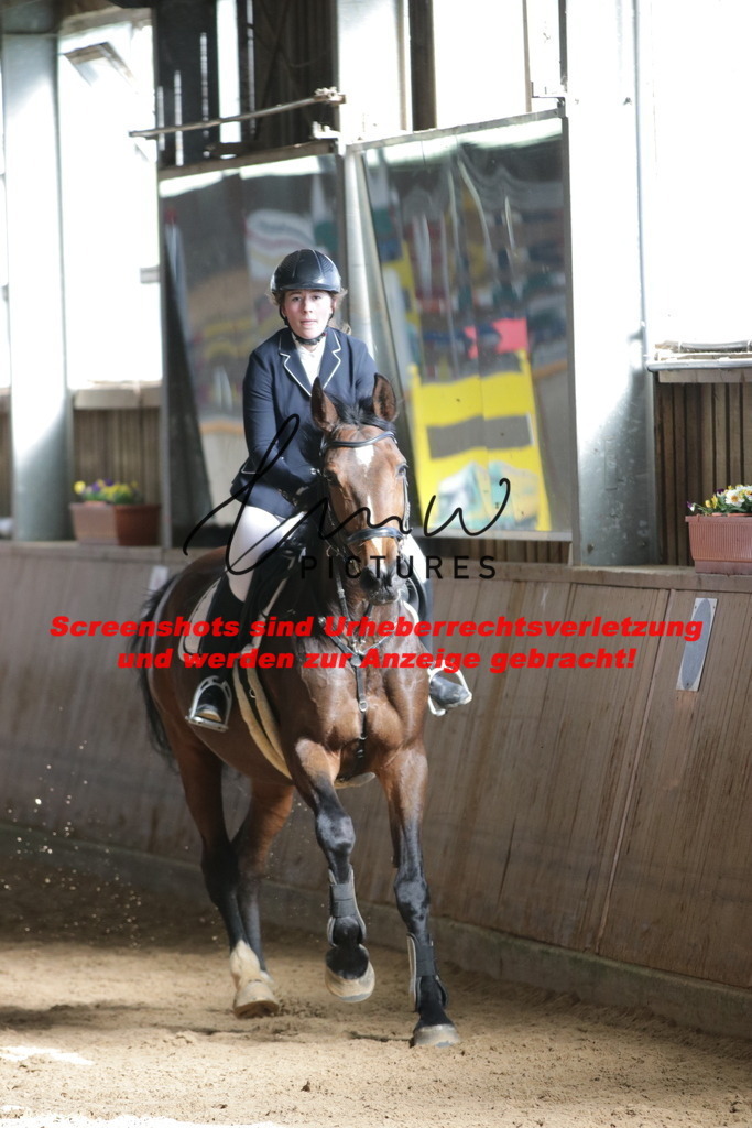 IMG_2660 | lmwpictures - Realisiert mit Pictrs.com