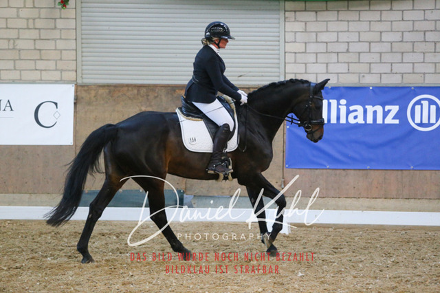 IMG_2641 | Turnierfotos kaufen im Webshop von Daniel Kuhl Photography – entdecke professionelle Reitsportfotos aus Turnieren & Events. Hochwertige Turnierbilder online bestellen & sichern. Jetzt Fotos von Reitsportturnieren kaufen!