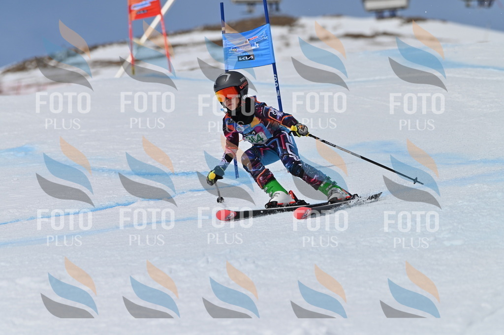 BGV_7193 | holidayphoto