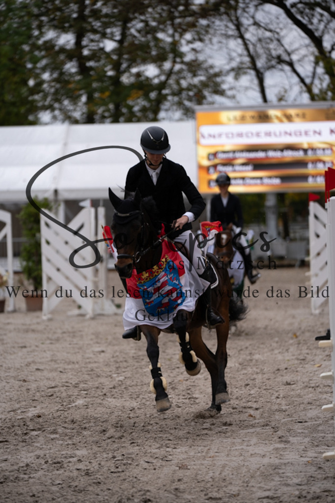 A7V00734 | Pferdefotograf