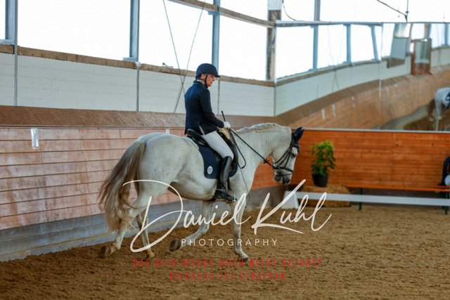 _62_7213 | Turniersportfotografie; Pferdefotografie; Dressurfotografie