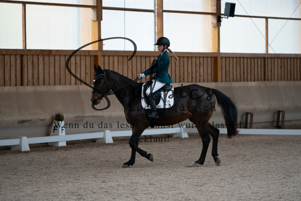 A7V02686 | Pferdefotograf