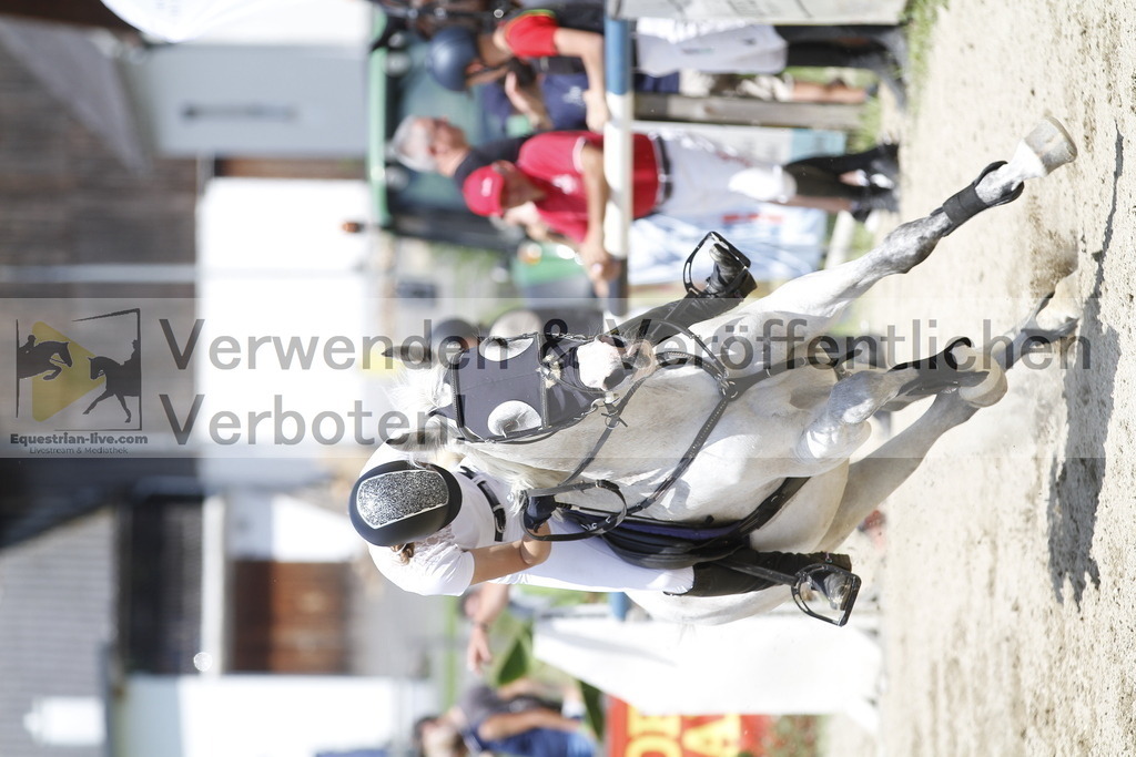 _MG_5481 | equestrian-live-com