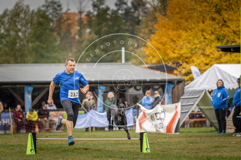 Pfotenfotografie_DV3A1910 | Hundefotografie, Tierfotograf, Pfotenfotografie, Fotoshooting Hund, Hunde Portrait, Hundesport, Hundeportraits, Heideshooting, Hunde, Sportfotograf, Hundefotograf, Turnierhundsport, THS,  - Realisiert mit Pictrs.com