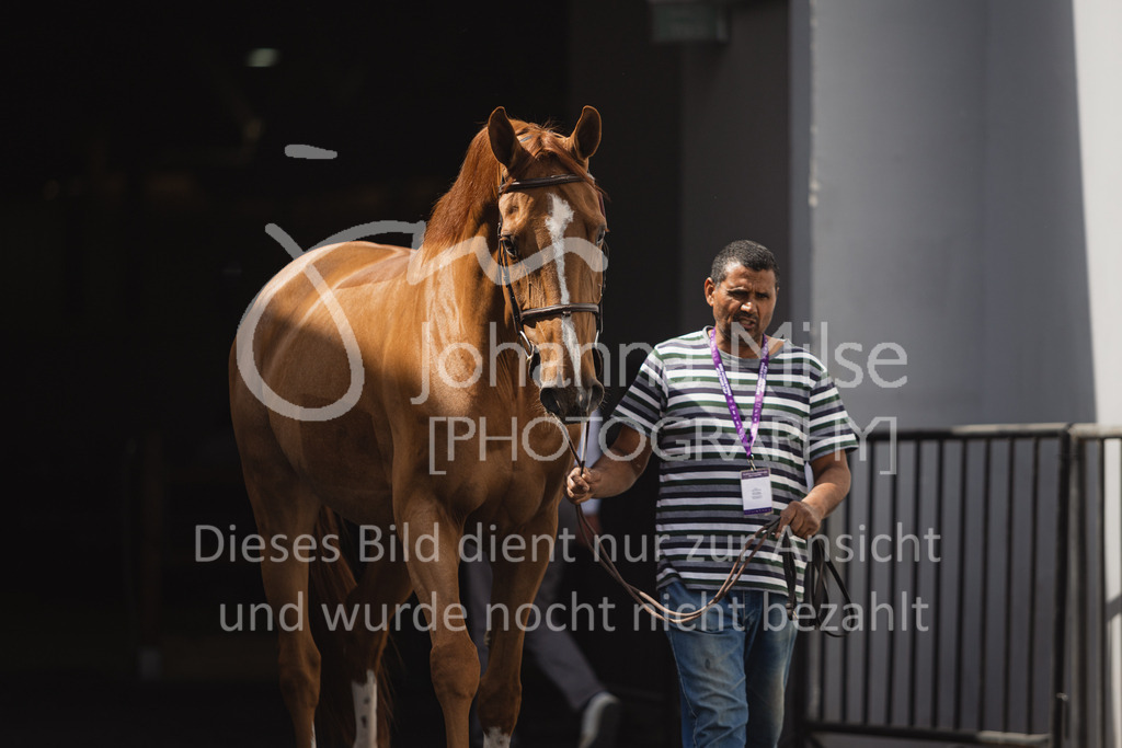230215_Riyadh_Vet-Check-133 | Deine schönsten Turniermomente als professionelle Fotos! Entdecke hochwertige Pferdesport-Fotografie im Online-Shop. Jetzt Fotos finden & bestellen!