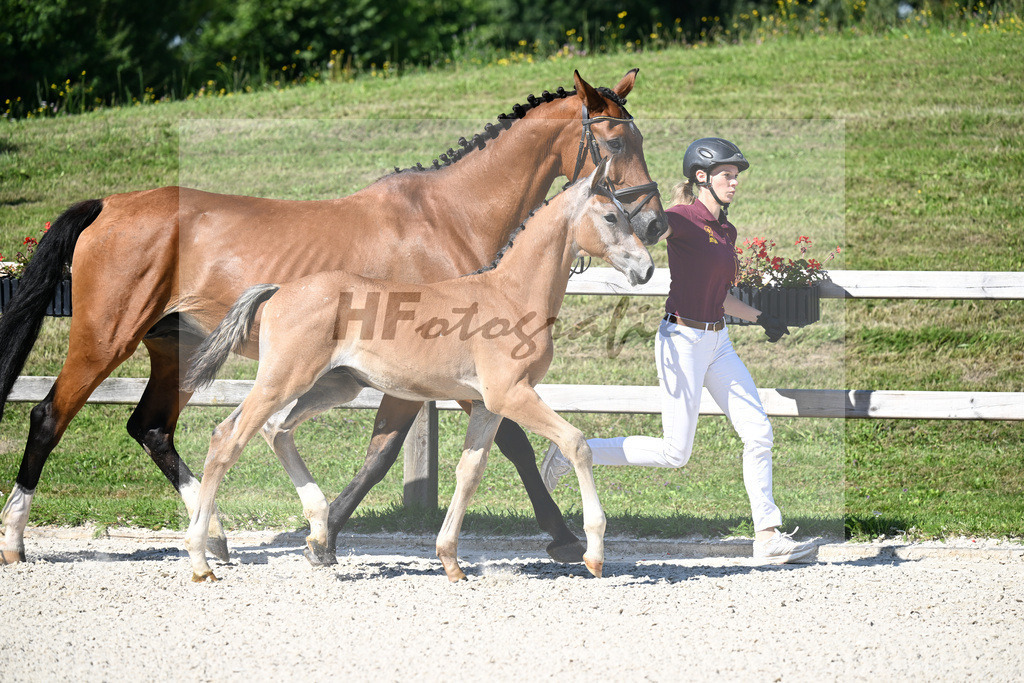 Kat-Nr. 5 Arezzo Man x Araconit_HF_Mayer_24250061 | hf-fotografie - Realisiert mit Pictrs.com