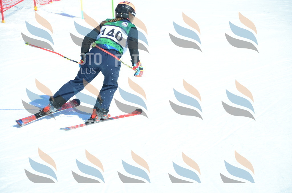 C6038 | holidayphoto