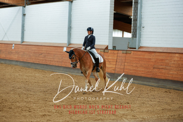 _62_5579 | Turniersportfotografie; Pferdefotografie; Dressurfotografie