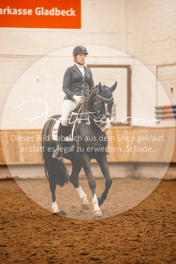 3I6A2714 | Stimmungsvolle Portraits und Reitsportfotografie im Ruhrgebiet und im Münsterland.

Pferdefotografie, Hundefotografie, Tierfotografie, Reportagen, Portraits von Tier und Mensch, Turnierfotografie in Bochum, Recklinghausen, Marl, Haltern am See, Dülmen.. - Realisiert mit Pictrs.com
