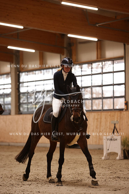 1J2A2761Hanna Nagel_ Rewell 2_ Kn441_ Hohen Wieschendorf_ Glantz | Foto- und Videografie für alles rund ums Pferd. Hochwertige Bilder und Videos vom Spring- und Dressurreiten, Voltigieren & mehr. Jetzt aktuelle Veranstaltungen und Preise im Shop ansehen. - Realisiert mit Pictrs.com