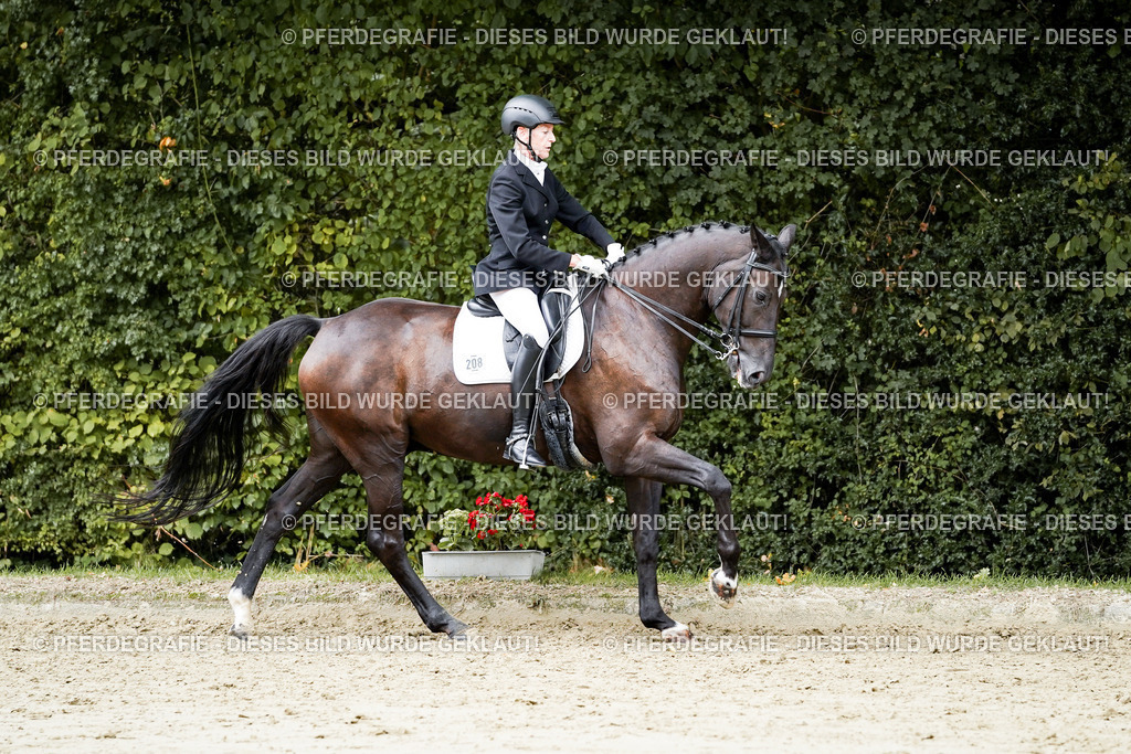 DSC05915 | Pferdegrafie