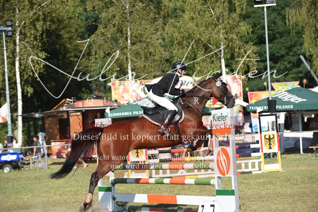 DSC_5220 | Pferde- und Turnierfotografie in Westsachsen. Pferdeportraits, Auftragszeichnungen und intuitive Kunst.