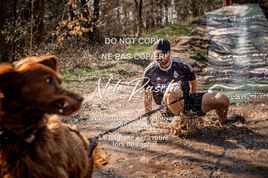 nelerasche_Hulsbeek_So1300-1330_231 | nelerasche