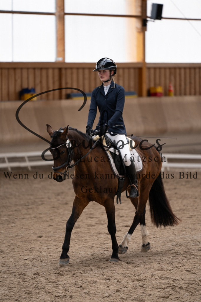 A7V09483 | Pferdefotograf