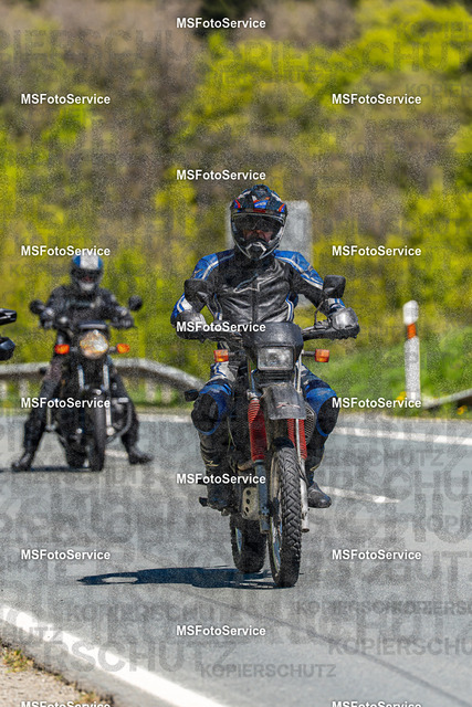 MSFotoServiceXXX277 | MSFotoService - Realisiert mit Pictrs.com