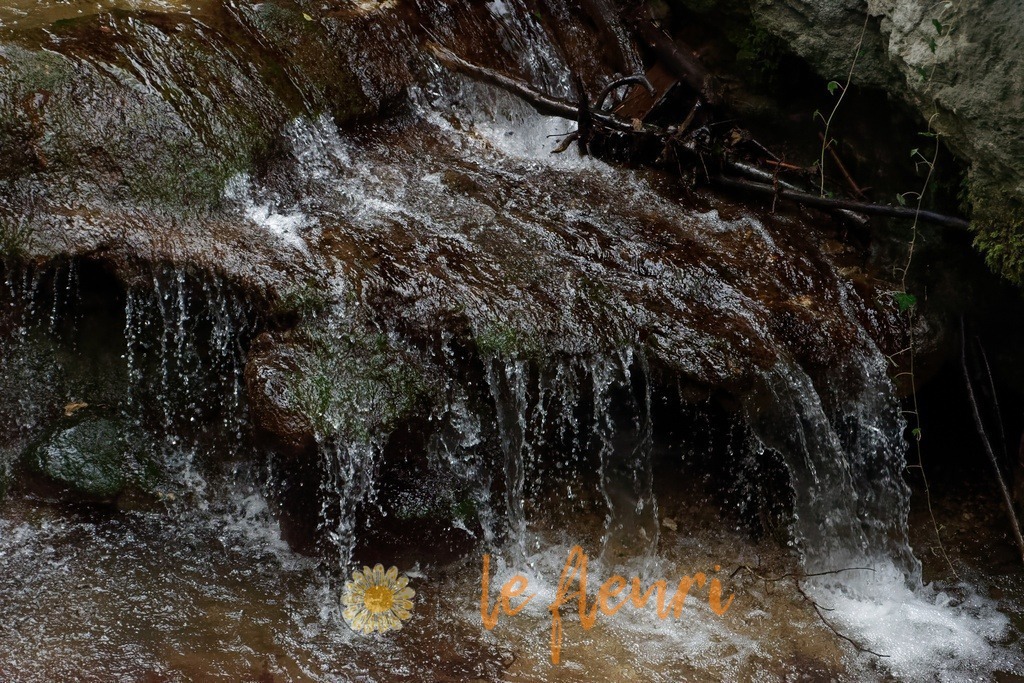 DSC_0182-NEF_DxO_PRIME | Dies ist der Shop von Florian Blum - le fleuri. Langenthal, Bern, SchweizSie können hier meine oder ihre eigenen Fotos als Fotoprodukte kaufen. Tassen, Schlüsselanhänger, Taschen etc. können Sie hier gestalten.  - Realisiert mit Pictrs.com