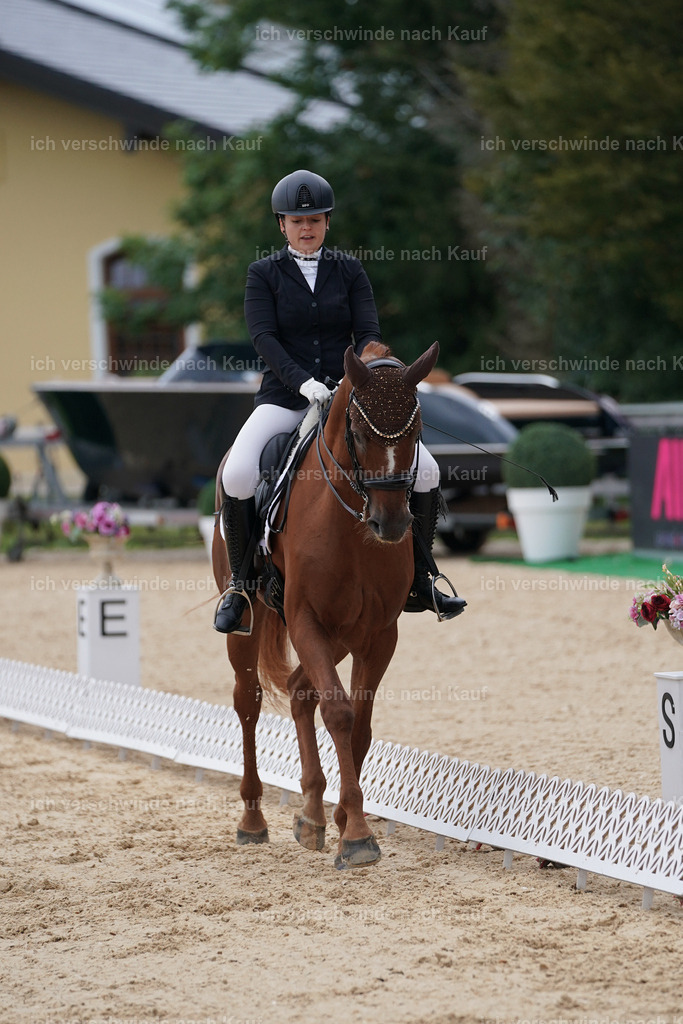 3-111-Dressur M_-Marixx-2215 | working equitationturnier fotograf videograf stoibphotography marixx film working equitation deutschland reitsport turnierfotografie eventfotografie equestrian events