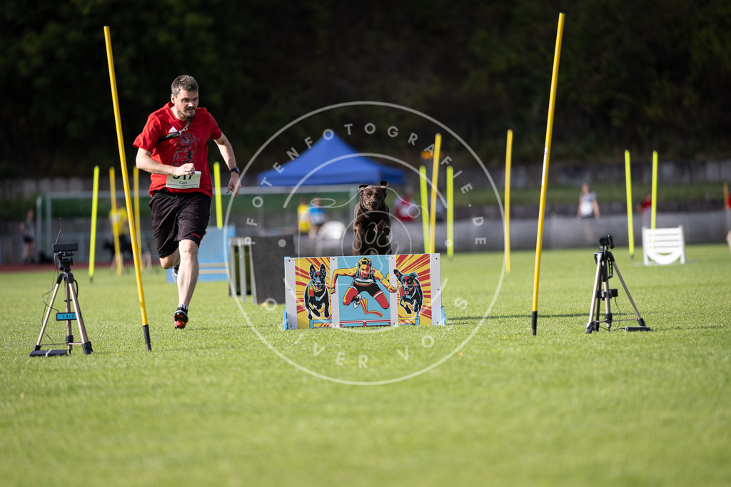 Pfotenfotografie_DV3A1953 | Hundefotografie, Tierfotograf, Pfotenfotografie, Fotoshooting Hund, Hunde Portrait, Hundesport, Hundeportraits, Heideshooting, Hunde, Sportfotograf, Hundefotograf, Turnierhundsport, THS,  - Realisiert mit Pictrs.com
