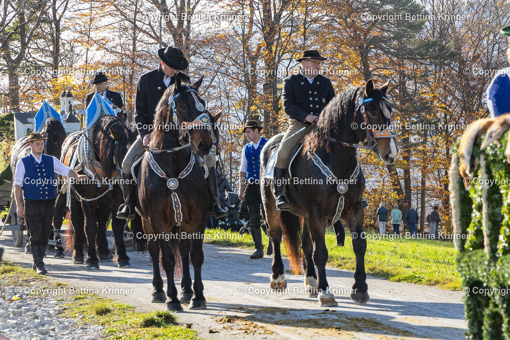 LBT24-1533 | foto-bettina-krinner - Realisiert mit Pictrs.com
