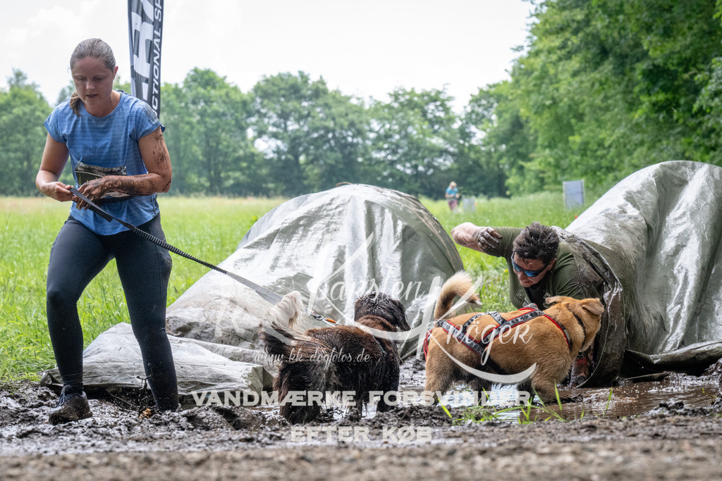 1109_ZZ91599 | kk-dogfotos