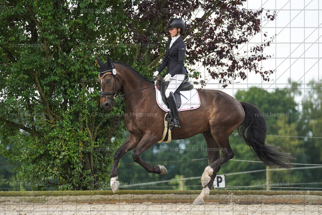20230826-FAH04468 | Forstinning, 2023, Dressurturnier, Turniersportbilder, Turnierfotografen Bayern, Fotoagentur Herrmann, Reitsportfotografie, Turnierbilder