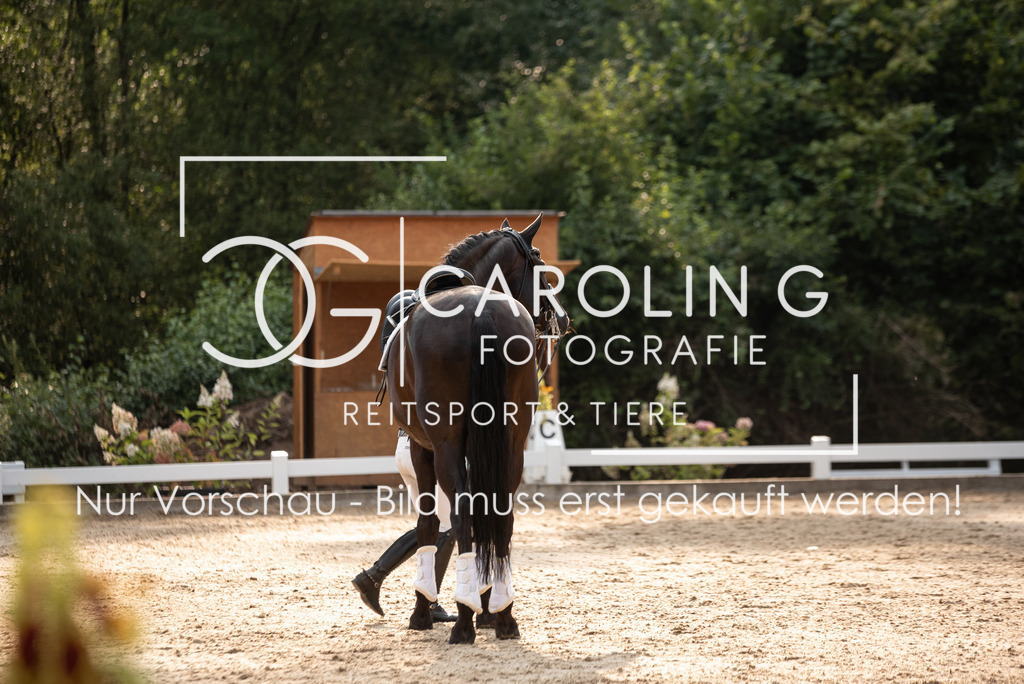 DSC_7523 | Turnierfotografin Carolin Gieschke, Turnierfotografie Carolin G Fotografie, Turnierfotos Kirchheim/Teck, Esslingen, Stuttgart, Bodenseekreis