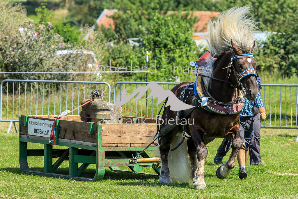 OE7A5714 | Medien- Sport- Entertainmentfotos