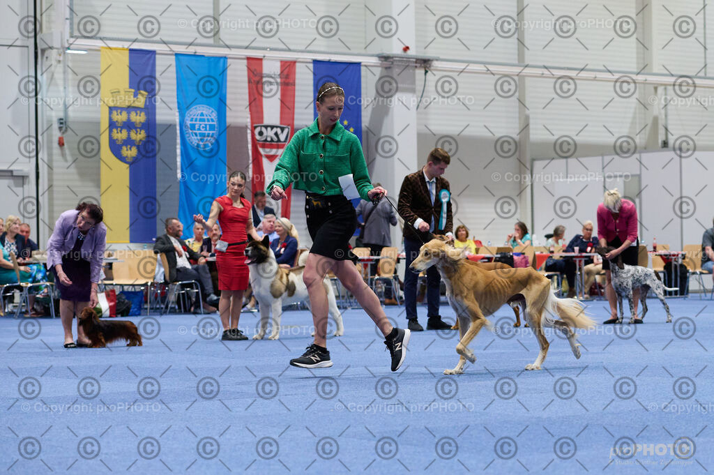 202406_ÖKV-IHA-Tulln24_DSC_3402 | proPHOTO - Realisiert mit Pictrs.com