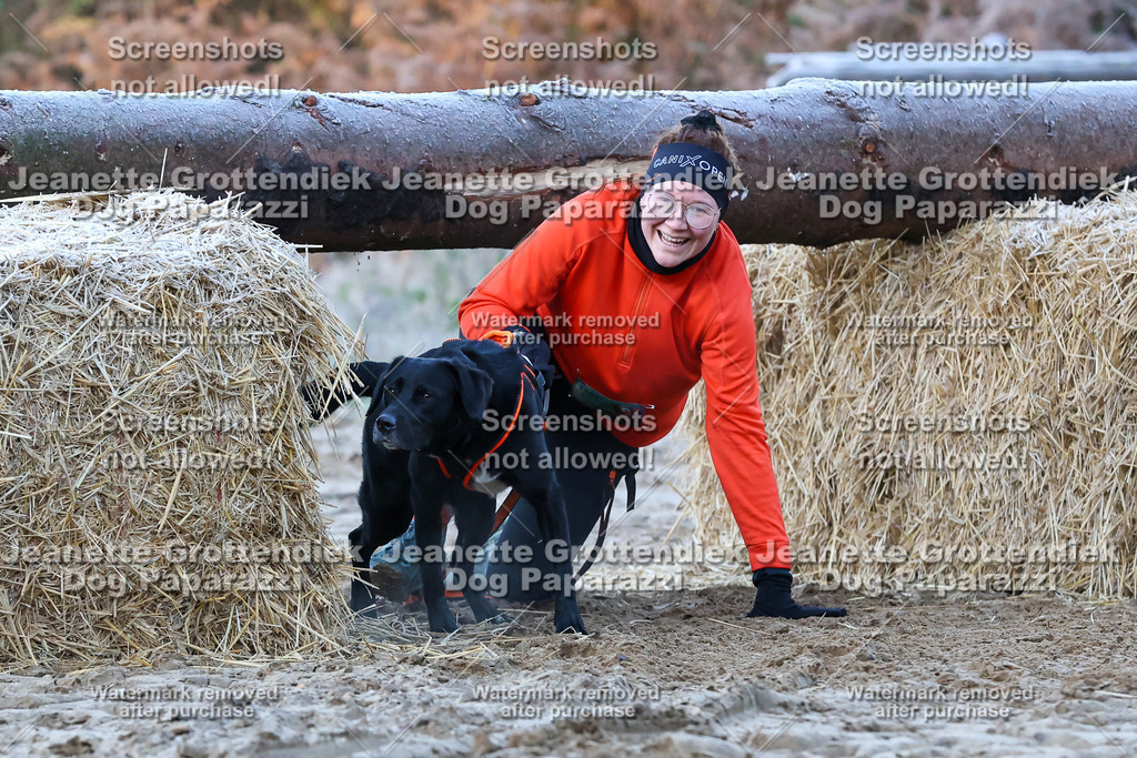 Dog Paparazzi - Strongdog 10-25-256 | Dog Paparazzi Jeanette Grottendiek Fotografie & Videografie - Realisiert mit Pictrs.com